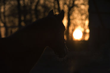 (c) www.hadel.net