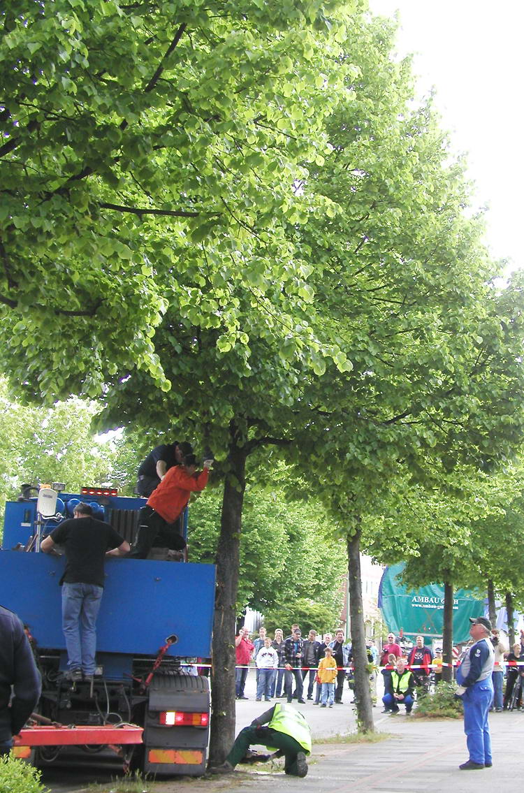 (c) www.hadel.net