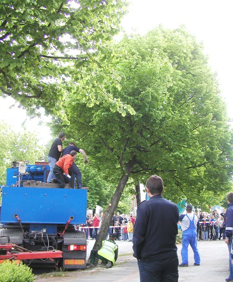 (c) www.hadel.net