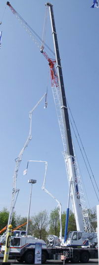 www.hadel.net