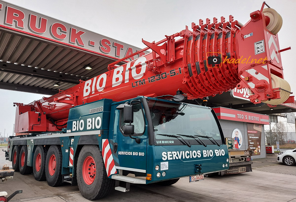 Liebherr LTM 1230-5.1 / SN: 094 254 going to Servicios Bio Bio (Chile)>                 				 </div>
			<div class=