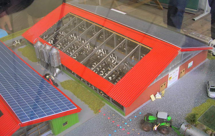 (c) www.hadel.net