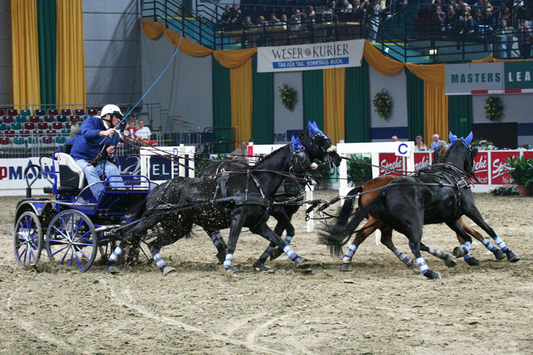 (c) www.hadel.net