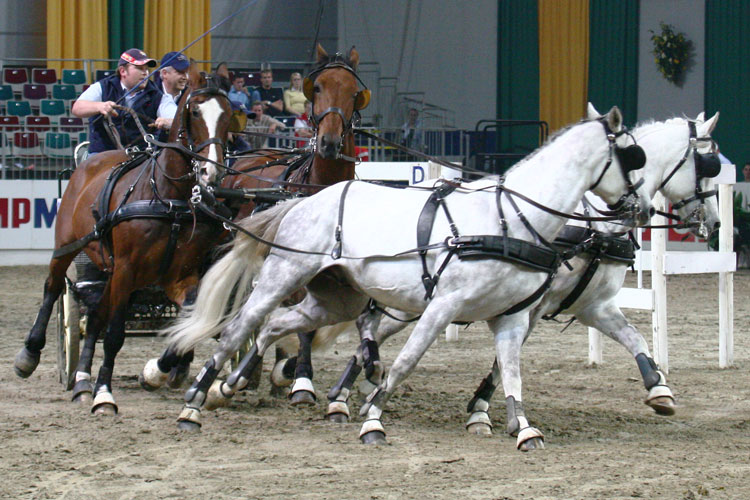 (c) www.hadel.net