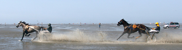 (c) www.hadel.net