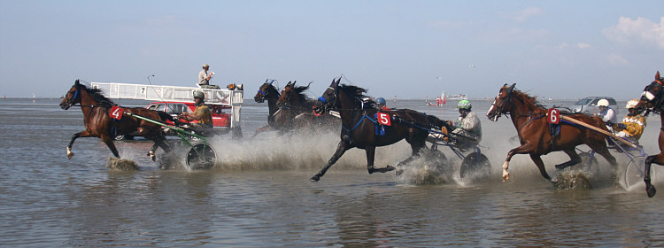 (c) www.hadel.net