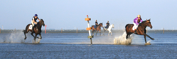 (c) www.hadel.net
