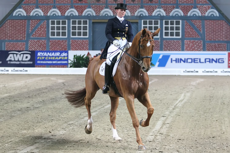 (c) www.hadel.net