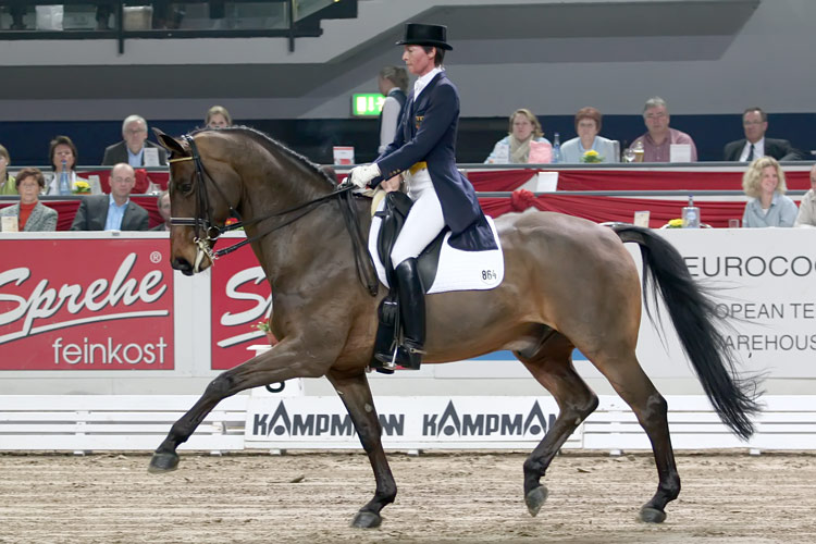 (c) www.hadel.net