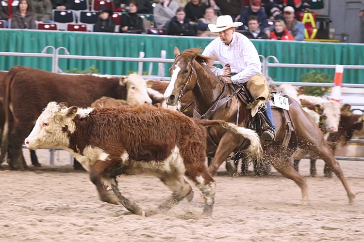 (c) www.hadel.net