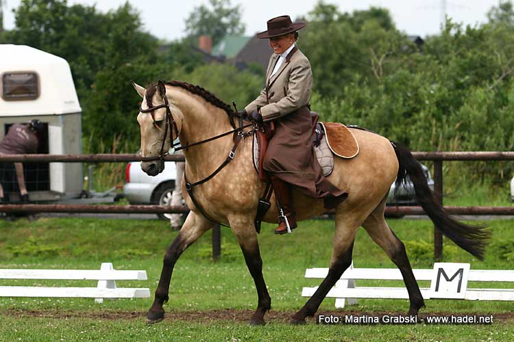 (c) www.hadel.net
