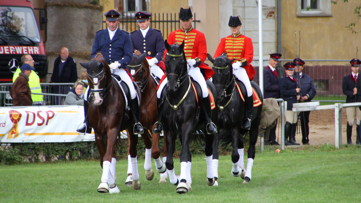 (c) www.hadel.net