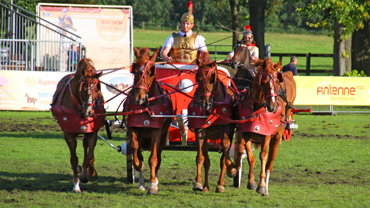 (c) www.hadel.net