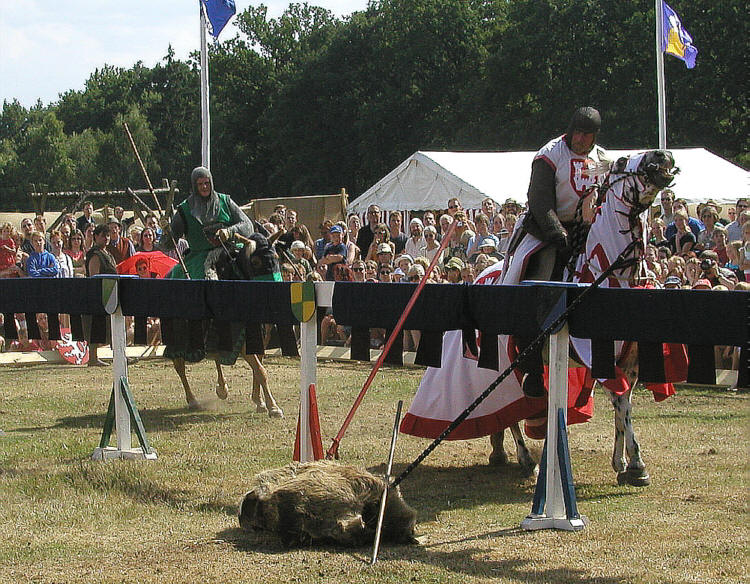 (c) www.hadel.net