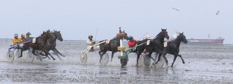 (c) www.hadel.net