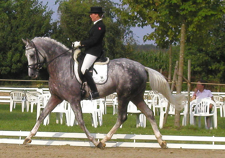 (c) www.hadel.net