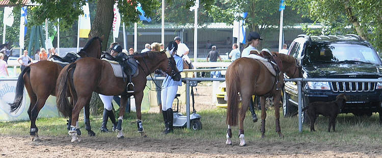 (c) www.hadel.net