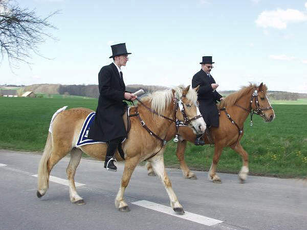 (c) www.hadel.net