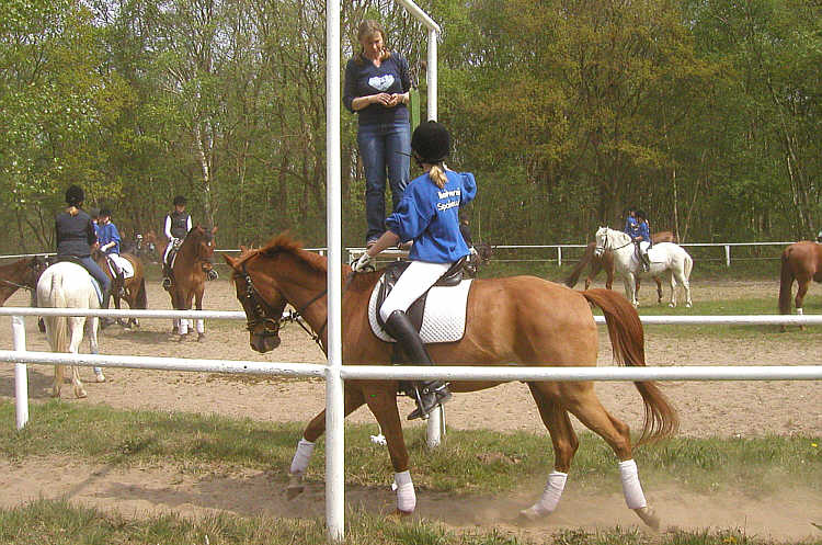 (c) www.hadel.net