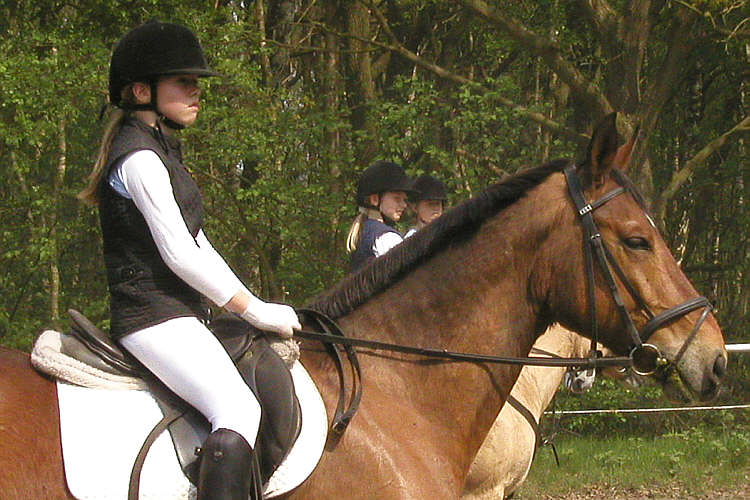 (c) www.hadel.net