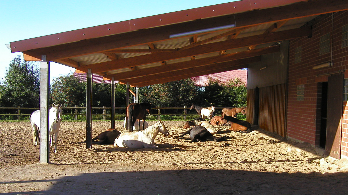 www.hadel.net
