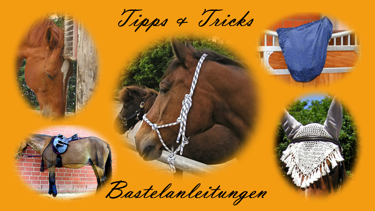für mehr Infos hier klicken...
