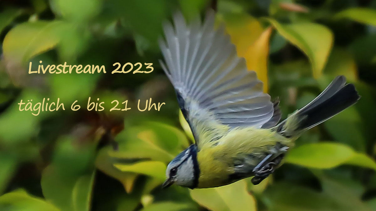für mehr Infos hier klicken...