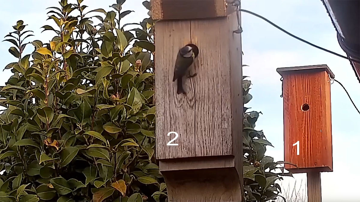 für mehr Infos hier klicken...