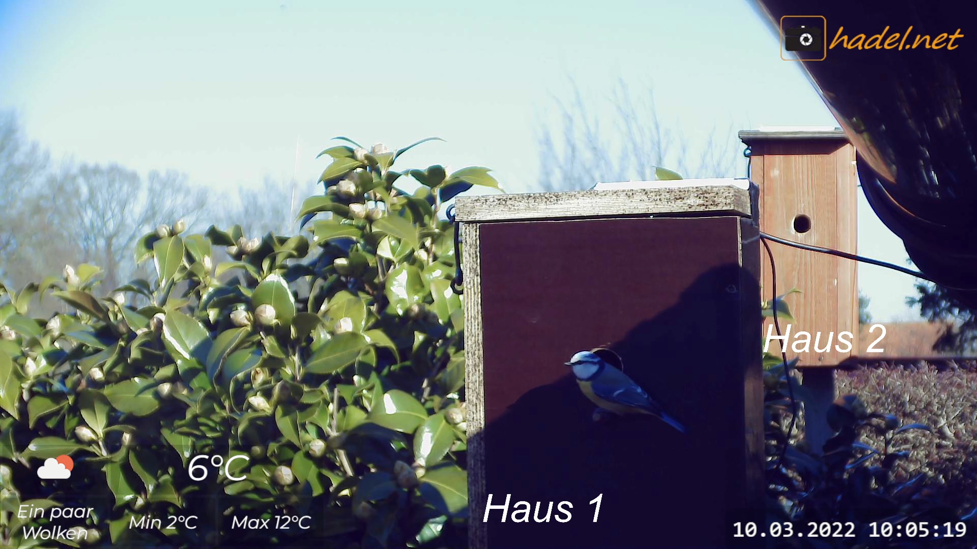 für mehr Infos hier klicken...