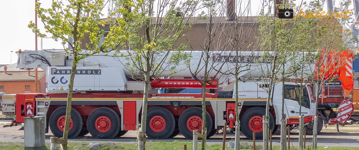 Tadano Faun from Fahrenholz behind some trees 